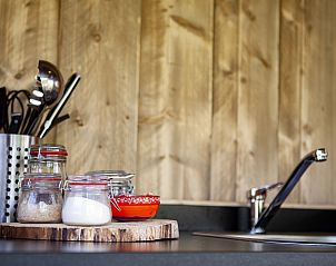 Guest house 431916 - Tent house Noordoost Brabant - Bos Lodge Junior