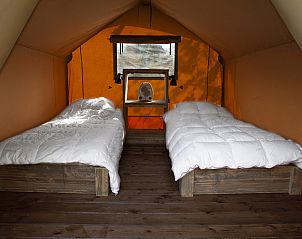 Guest house 431916 - Tent house Noordoost Brabant - Bos Lodge Junior