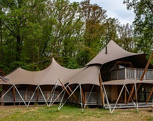 Guest house 431921 - Tent house Noordoost Brabant - Koningslodge + Hottub