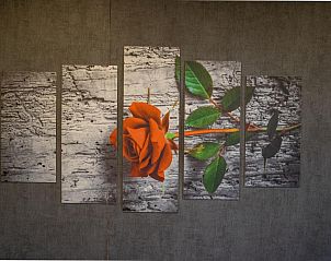 Guest house 431928 - Holiday property Noordoost Brabant - Berghuisje