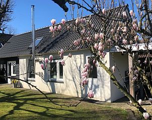 Guest house 432206 • Holiday property Noordoost Brabant • Huisje in Gemert 