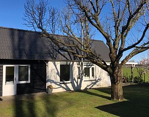 Ruim terras bij Huisje in Gemert, vakantiehuis in Noordoost Brabant, Noord Brabant.