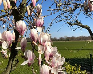 Prachtige natuur rondom Huisje in Gemert, vakantiehuis in Noordoost Brabant, Noord Brabant.