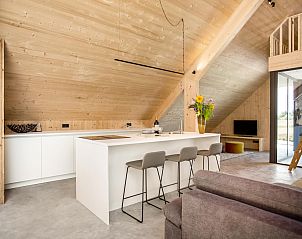 Unterkunft 432310 - Ferienhaus Noordoost Brabant - Villa WOOD
