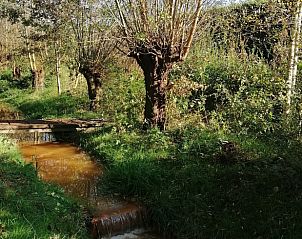 Unterkunft 432406 - Ferienhaus Noordoost Brabant - Vakantiehuis in Boekel