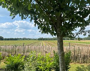 Groene omgeving en privacy bij het vakantiehuis Huisje in Sint Anthonis, Noord Brabant, met veel ruimte.