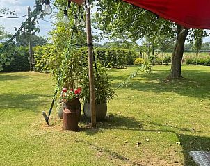 Groene tuin met bloeiende planten bij Vakantiehuis in Sint Anthonis, Noordoost Brabant, perfect voor ontspanning.