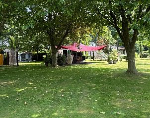 Uitgestrekte groene tuin bij Vakantiehuis in Sint Anthonis, Noordoost Brabant, met bomen en schaduwrijke plekken.