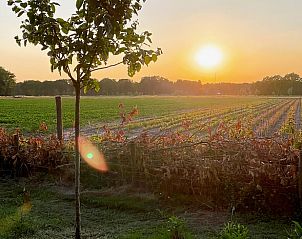 Adembenemende zonsondergang bij Vakantiehuis in Sint Anthonis, Noordoost Brabant, met kleurrijke lucht en velden.
