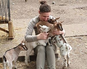 Unterkunft 432901 - Chalet Noordoost Brabant - Chalet / vakantiehuis