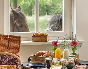 Guest house 432902 - Holiday property Noordoost Brabant - Vakantiehuisje in Wilbertoord