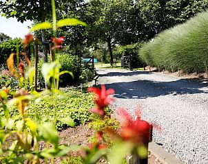 Guest house 432904 - Holiday property Noordoost Brabant - Vakantiehuis in Wilbertoord