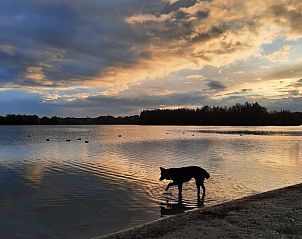 Guest house 433209 - Holiday property Noordoost Brabant - Huisje in Langenboom