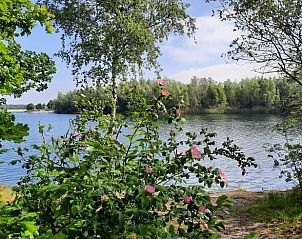 Guest house 433209 - Holiday property Noordoost Brabant - Huisje in Langenboom