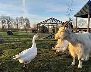 Verblijf 433213 - Vakantiewoning Noordoost Brabant - Vakantiehuis in Langenboom