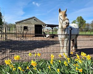 Verblijf 433213 - Vakantiewoning Noordoost Brabant - Vakantiehuis in Langenboom