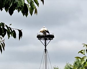 Verblijf 433213 - Vakantiewoning Noordoost Brabant - Vakantiehuis in Langenboom