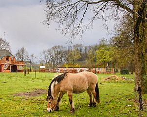 Guest house 433302 - Holiday property Noordoost Brabant - Vakantiehuisje in Nistelrode