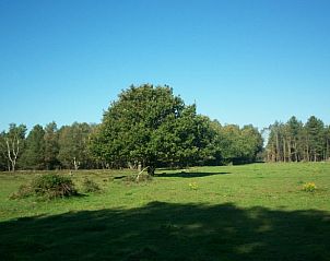 Guest house 433302 - Holiday property Noordoost Brabant - Vakantiehuisje in Nistelrode