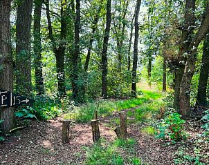 Guest house 433303 - Holiday property Noordoost Brabant - Vakantiehuis in Nistelrode