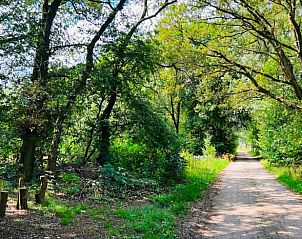 Guest house 433303 - Holiday property Noordoost Brabant - Vakantiehuis in Nistelrode