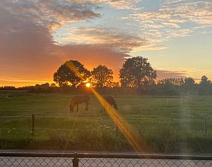 Guest house 433305 - Holiday property Noordoost Brabant - Huisje in Nistelrode