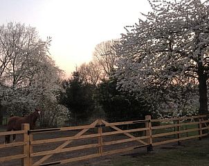 Guest house 433306 - Holiday property Noordoost Brabant - Vakantiehuisje in Nistelrode