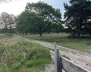 Guest house 433306 - Holiday property Noordoost Brabant - Vakantiehuisje in Nistelrode