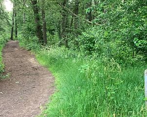 Guest house 433306 - Holiday property Noordoost Brabant - Vakantiehuisje in Nistelrode