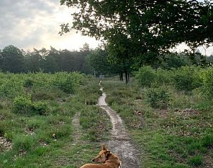 Guest house 433306 - Holiday property Noordoost Brabant - Vakantiehuisje in Nistelrode