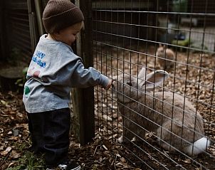 Verblijf 433314 - Vakantiewoning Noordoost Brabant - Huisje in Nistelrode