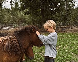 Verblijf 433314 - Vakantiewoning Noordoost Brabant - Huisje in Nistelrode