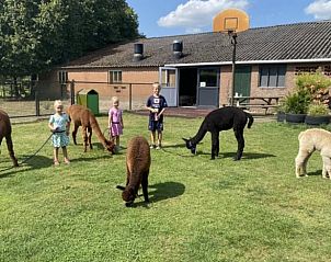 Verblijf 433315 - Vakantiewoning Noordoost Brabant - Huisje in Nistelrode