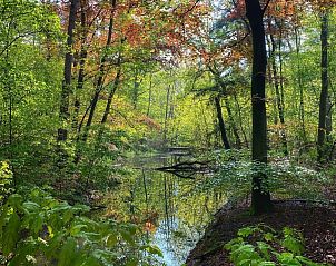 Guest house 433316 - Holiday property Noordoost Brabant - NB205