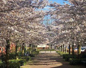 Guest house 433316 - Holiday property Noordoost Brabant - NB205