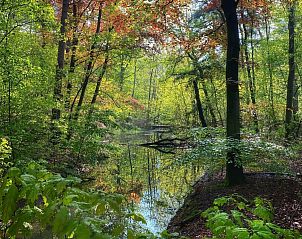 Guest house 433317 - Holiday property Noordoost Brabant - NB206