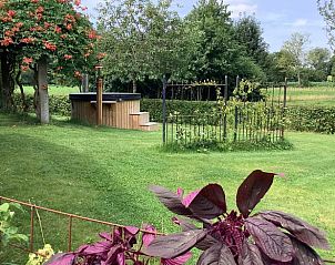 Rustieke tuin met bubbelbad bij Vakantiehuisje in Escharen, Noordoost Brabant, voor ultieme ontspanning.