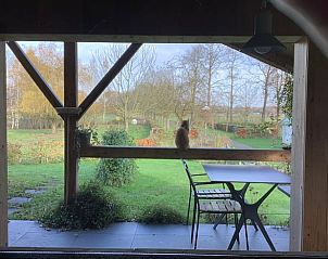 Uitzicht op de tuin vanuit Vakantiehuisje in Escharen, met een landelijke sfeer in Noord Brabant.