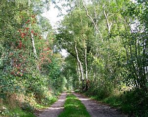 Verblijf 433713 - Vakantiewoning Noordoost Brabant - Vakantiehuis in Erp