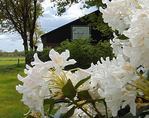 Unterkunft 433716 • Ferienhaus Noordoost Brabant • Vakantiehuisje in Erp 