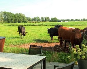 Guest house 433716 - Holiday property Noordoost Brabant - Vakantiehuis in Erp