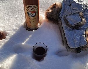 Guest house 433814 - Bungalow Noordoost Brabant - Grove Den 