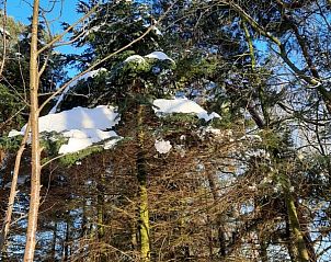 Guest house 433814 - Bungalow Noordoost Brabant - Grove Den 