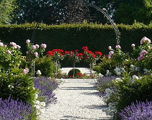 Vakantiehuisje in Haps, romantische tuin met lavendel in Noordoost Brabant, Noord Brabant.
