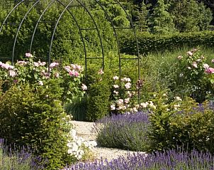 Vakantiehuisje in Haps, weelderige tuin met bogen in Noordoost Brabant, Noord Brabant.