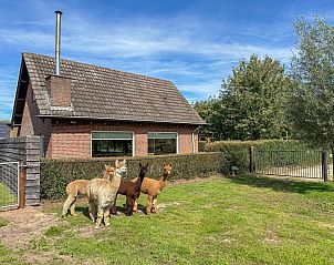 Verblijf 434003 • Vakantiewoning Noordoost Brabant • Alpacafarm Vorstenbosch 