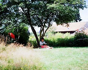 Ontspannen in de schaduwrijke tuin van Vakantiehuis in Sambeek, Noord Brabant.