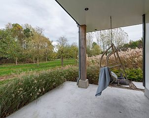 Uitzicht vanaf de veranda van Huisje in Beers, vakantiehuis in Beers NB, Noordoost Brabant, met omliggende natuur en hangstoel.