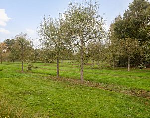 Verblijf 434401 - Vakantiewoning Noordoost Brabant - Huisje in Beers
