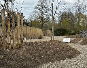 Omringende natuur van Vakantiehuisje in Beers, Noordoost Brabant met wandelpaden en serene sfeer.